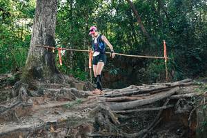 BIB: 
                            <button type="button" onclick="openModal(27753872)" class="btn btn-primary btn-sm float-right btn-popup" data-toggle="modal" data-target=".modal-high-quality">
                        <i class="fas fa-shopping-cart"></i> Add to Cart
                    </button>
                                            <button type="button" onclick="isThisMe(27753872, true)" class="btn btn-success btn-sm float-right btn-popup btn-isme hidden" data-toggle="tooltip" data-placement="bottom" title="นี่คือรูปของคุณใช่ไหม คลิกที่นี่เพื่อเอาเข้าอัลบั้ม">
                        <i class="fas fa-plus"></i> Add to album
                    </button>
                    <button type="button" onclick="isThisMe(27753872, false)" class="btn btn-warning btn-sm float-right btn-popup btn-isnotme hidden">
                        <i class="fas fa-ban"></i> Remove from album
                    </button>